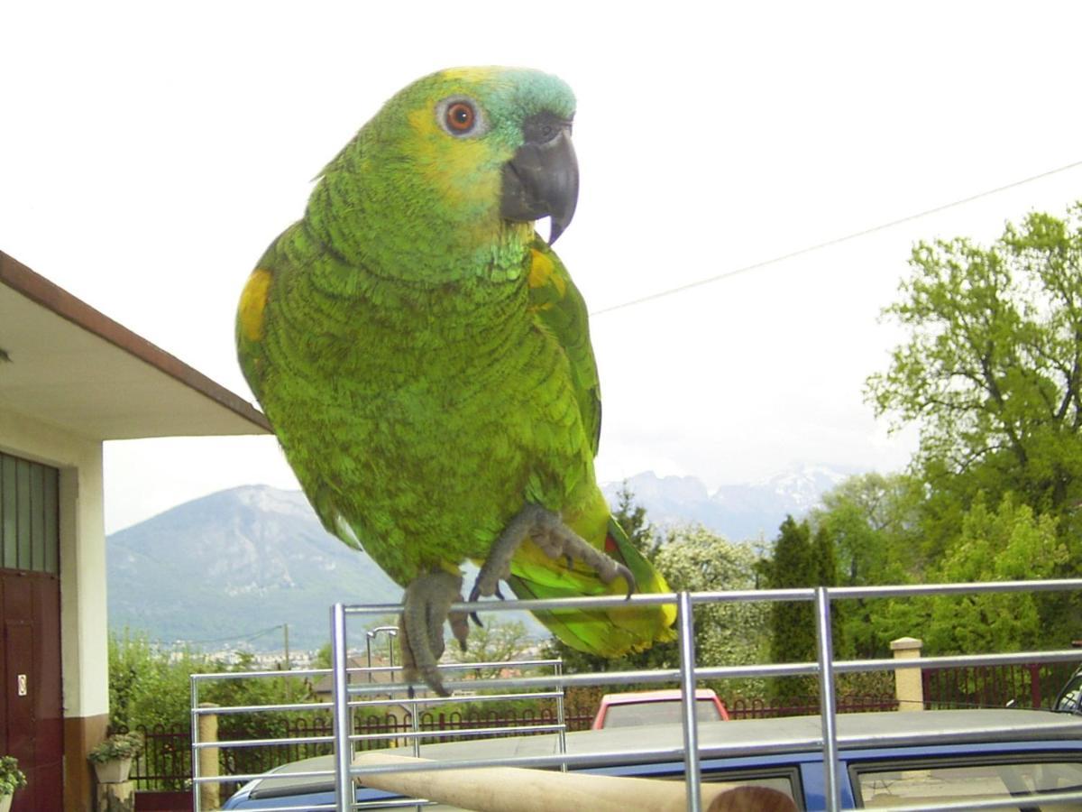 Alojamento de Acomodação e Pequeno-almoço Le Paon Bleu Annecy *